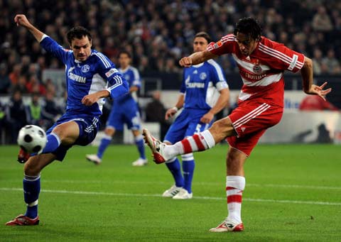 逐渐将目光 逐渐将目光